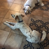 Entry image for Missy Grace & Tucker Smarsh