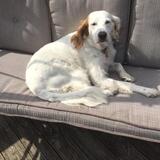 Entry image for Missy Grace Smarsh