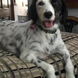 Entry image for Sweets Joseph