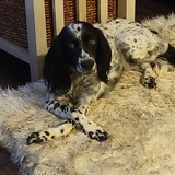 Entry image for Ella Smola