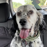 Entry image for Adley Bunnell