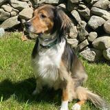 Entry image for Danny McDermott