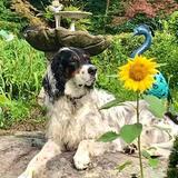 Entry image for Buster Dellicker