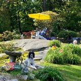 Entry image for Buster Dellicker