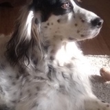 Entry image for Ruby Rumler