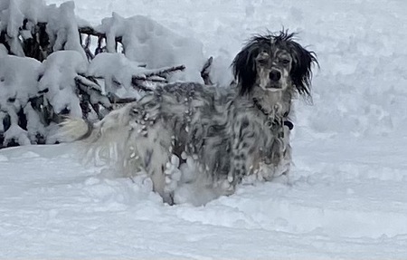 Entry image for Nash Alonso. Clicking this image will show a larger photo