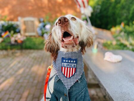 Entry image for Norman Pavlick. Clicking this image will show a larger photo