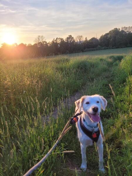 Entry image for Penny Aimino. Clicking this image will show a larger photo