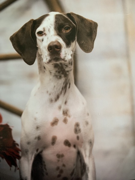 Entry image for Red Rahlfs. Clicking this image will show a larger photo