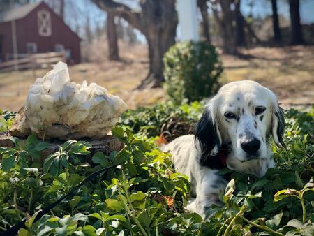 Entry image for Rock Glazebrook. Clicking this image will show a larger photo