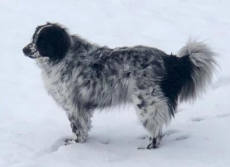 Entry image for Ruffin Davis. Clicking this image will show a larger photo