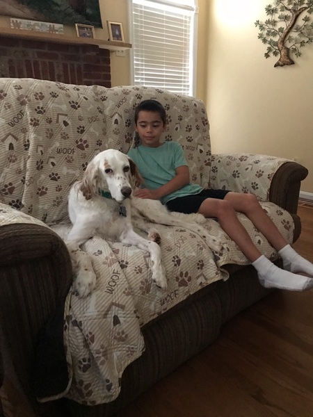 Entry image for Ryker Ferris & Luca. Clicking this image will show a larger photo