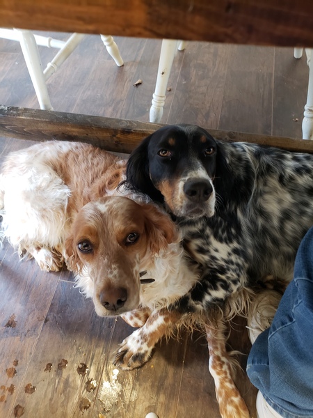 Entry image for Sunny & Harper Phillips. Clicking this image will show a larger photo