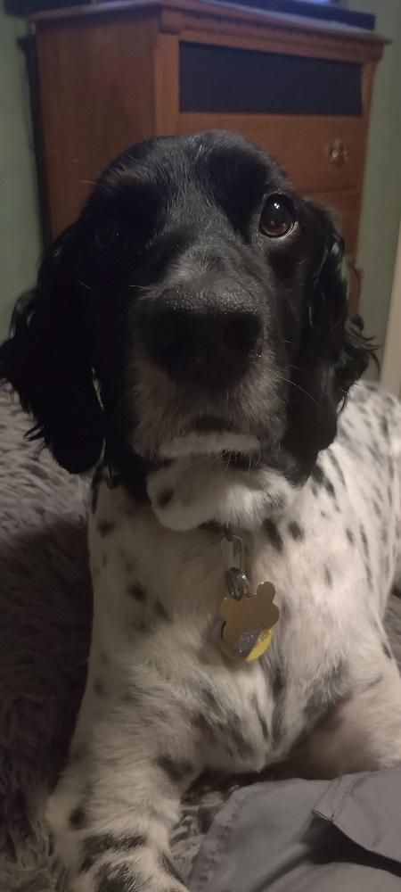 Entry image for Thatcher Erickson. Clicking this image will show a larger photo