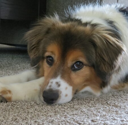 Entry image for Tom Uppleger. Clicking this image will show a larger photo