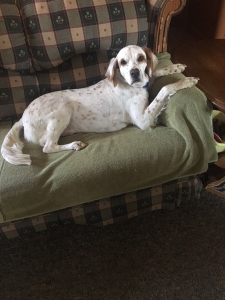 Entry image for Tucker Smarsh. Clicking this image will show a larger photo