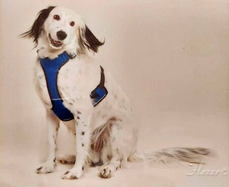 Entry image for Albert Yusella. Clicking this image will show a larger photo