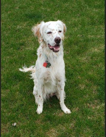 Entry image for Alvin Erickson. Clicking this image will show a larger photo