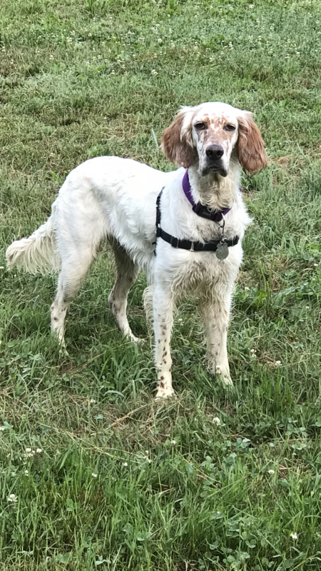 Entry image for Ana Toggas 1. Clicking this image will show a larger photo