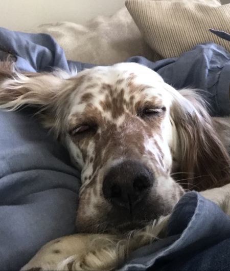 Entry image for Ana Toggas. Clicking this image will show a larger photo