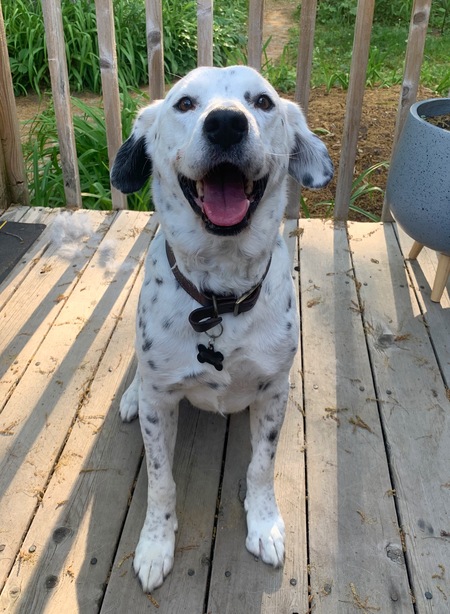 Entry image for Ansel Vargas. Clicking this image will show a larger photo