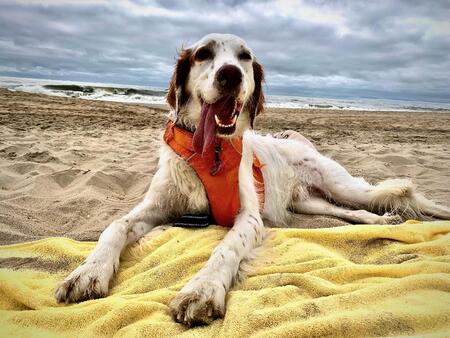 Entry image for Asher Lance Thomas. Clicking this image will show a larger photo