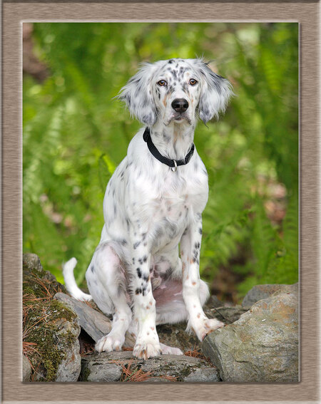 Entry image for Bela Verderber. Clicking this image will show a larger photo