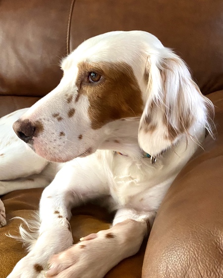 Entry image for Bella Brimley. Clicking this image will show a larger photo