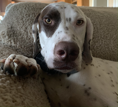 Entry image for Ben Balins. Clicking this image will show a larger photo