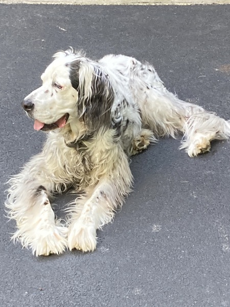 Entry image for Bentley Holtz . Clicking this image will show a larger photo