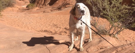 Entry image for Cali Kornas. Clicking this image will show a larger photo