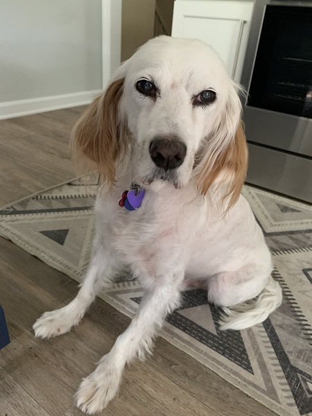 Entry image for Chance Rahlfs. Clicking this image will show a larger photo