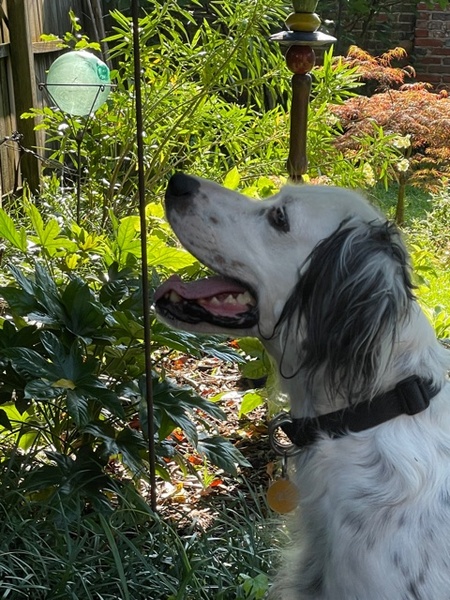 Entry image for Charlie Wilson. Clicking this image will show a larger photo