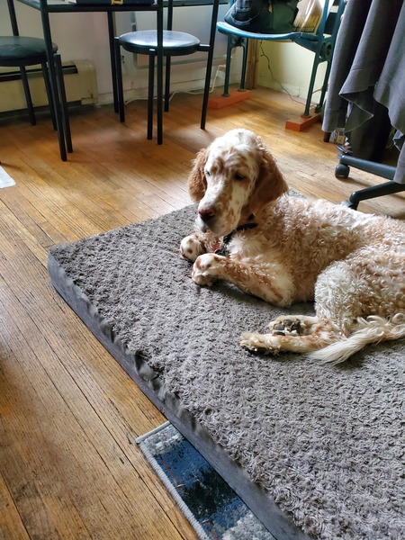 Entry image for Chey Gutman 1. Clicking this image will show a larger photo