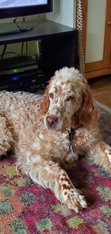 Entry image for Chey Gutman. Clicking this image will show a larger photo