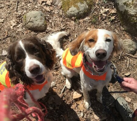 Entry image for Cooper Bailey & Maia Richardson. Clicking this image will show a larger photo