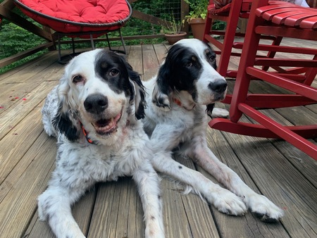 Entry image for Dottie & Reba Dickson. Clicking this image will show a larger photo