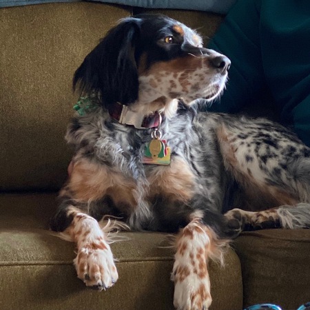 Entry image for Dottie Pellitteri. Clicking this image will show a larger photo