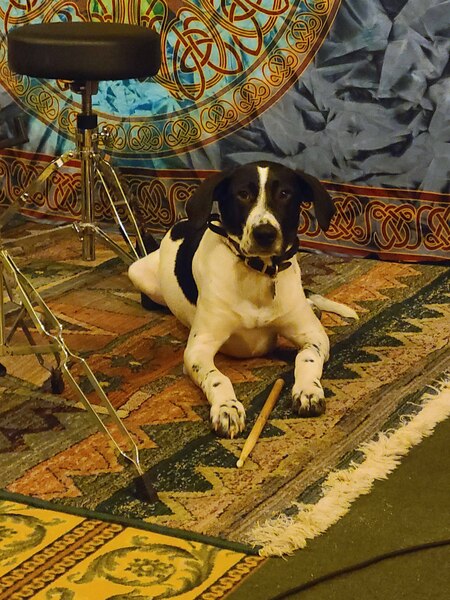 Entry image for Dudley Marteeny. Clicking this image will show a larger photo