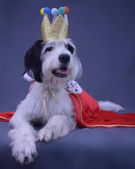 Entry image for Griffin Kline. Clicking this image will show a larger photo