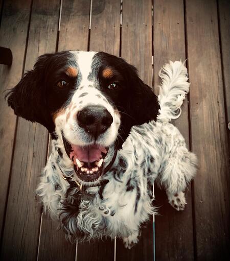 Entry image for Hank Tuson. Clicking this image will show a larger photo