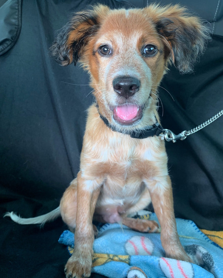 Entry image for Hendrix Thorley. Clicking this image will show a larger photo