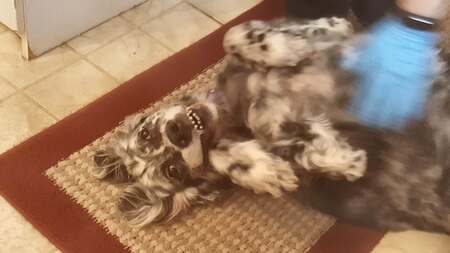 Entry image for Jesse Arndt. Clicking this image will show a larger photo