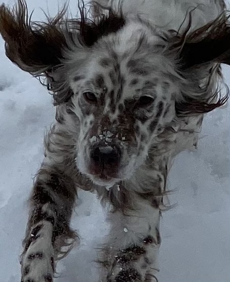 Entry image for Lindsy Alonso. Clicking this image will show a larger photo