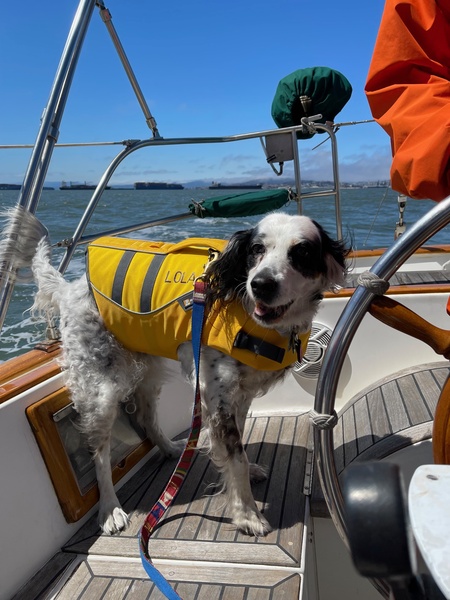 Entry image for Lola Ericsson. Clicking this image will show a larger photo