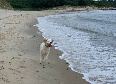 Entry image for Lucy Gutman. Clicking this image will show a larger photo