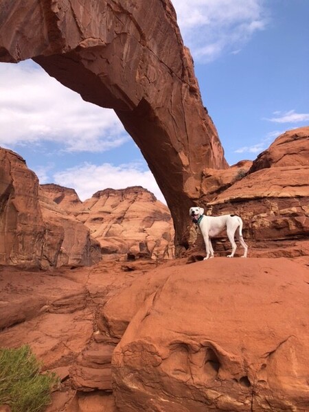 Entry image for Lylian Jones. Clicking this image will show a larger photo