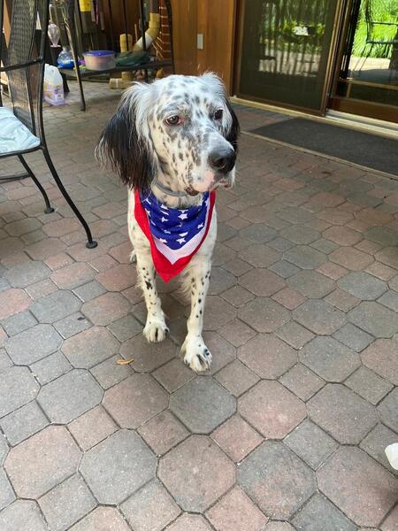 Entry image for Marco Mangan 2. Clicking this image will show a larger photo