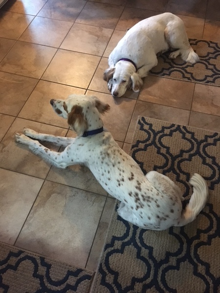 Entry image for Missy Grace & Tucker Smarsh. Clicking this image will show a larger photo