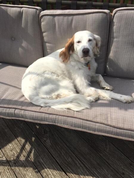 Entry image for Missy Grace Smarsh. Clicking this image will show a larger photo